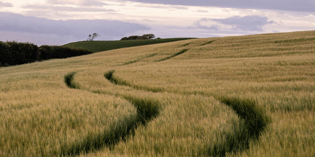 Purpose-email-2-image Purpose-email-2-image